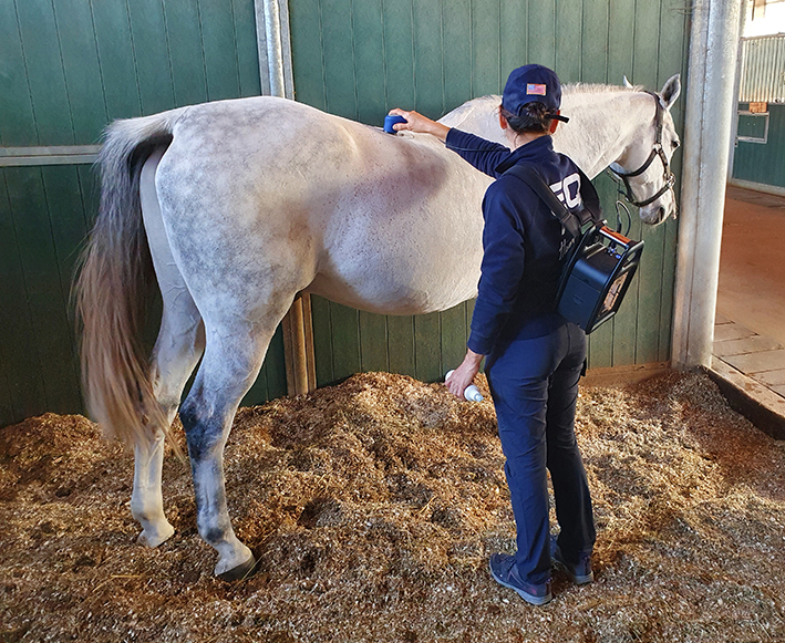 eq pro therapy horse back treatment